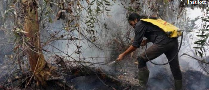 Kebakaran hutan dan lahan (karhutla) merupakan masalah serius yang dihadapi oleh banyak daerah di Indonesia, termasuk di Pulau Belitung. Badan Penanggulangan Bencana Daerah (BPBD) Belitung berperan penting dalam menangani permasalahan ini, menerima laporan setiap harinya terkait kebakaran yang terjadi. Keberadaan BPBD sangat vital dalam mengendalikan dan merespons situasi darurat yang berkaitan dengan kebakaran. Artikel ini akan membahas lebih dalam mengenai peran BPBD Belitung dalam menangani kebakaran hutan dan lahan, tantangan yang dihadapi, upaya pencegahan, serta langkah-langkah mitigasi yang diambil untuk meminimalkan dampak dari kebakaran tersebut. 1. Peran BPBD Belitung dalam Penanganan Kebakaran Hutan dan Lahan Badan Penanggulangan Bencana Daerah (BPBD) Belitung memiliki tugas yang sangat strategis dalam mengatasi masalah kebakaran hutan dan lahan. Di antara peran utama BPBD adalah melakukan pemantauan, pengendalian, dan penanganan kebakaran yang terjadi. Setiap hari, BPBD menerima laporan mengenai titik api yang terdeteksi, baik dari masyarakat maupun dari teknologi pemantauan yang ada. Dengan sistem pemantauan yang terintegrasi, BPBD mampu mendeteksi lokasi-lokasi rawan kebakaran dan segera mengirimkan tim untuk melakukan penanganan. Tim ini biasanya terdiri dari petugas pemadam kebakaran, relawan, dan masyarakat setempat yang terlatih. Keberadaan mereka di lapangan sangat penting untuk melaksanakan tindakan cepat dan efektif saat kebakaran terjadi. BPBD juga berperan dalam melakukan koordinasi dengan berbagai pihak, seperti pemerintah daerah, instansi terkait, dan masyarakat. Melalui koordinasi ini, BPBD dapat mengoptimalkan sumber daya yang ada, baik dari segi personel maupun peralatan. Selain itu, BPBD juga berusaha meningkatkan kesadaran masyarakat akan bahaya kebakaran hutan dan lahan melalui berbagai program edukasi dan sosialisasi. Adanya laporan harian tentang kebakaran yang diterima BPBD bukan hanya sekadar angka, melainkan juga mencerminkan kondisi lingkungan yang perlu perhatian serius. Oleh karena itu, langkah pencegahan menjadi bagian yang tidak terpisahkan dari upaya BPBD dalam menangani karhutla. 2. Tantangan yang Dihadapi oleh BPBD Belitung Meskipun BPBD memiliki peran yang krusial dalam penanganan kebakaran hutan dan lahan, berbagai tantangan tetap hadir dalam setiap langkah yang diambil. Salah satu tantangan terbesar adalah keterbatasan sumber daya, baik dari segi personel maupun peralatan. Di saat-saat tertentu, jumlah kebakaran yang terjadi bisa meningkat pesat, sementara jumlah petugas yang tersedia tidak sebanding. Keterbatasan anggaran juga menjadi kendala yang perlu diperhatikan. Anggaran yang dialokasikan untuk BPBD sering kali tidak memadai untuk memenuhi semua kebutuhan operasional, termasuk dalam penyediaan alat pemadam kebakaran yang efektif. Selain itu, ada juga tantangan geografis yang harus dihadapi, seperti medan yang sulit dijangkau dan akses yang terbatas ke lokasi kebakaran. Siklus cuaca yang tidak menentu juga menjadi salah satu tantangan, di mana musim kemarau yang panjang dapat memperburuk situasi kebakaran. Dalam kondisi ini, banyak lahan yang menjadi kering dan mudah terbakar, sehingga membuat BPBD harus lebih cepat dalam merespons. Keterlibatan masyarakat juga menjadi tantangan tersendiri. Meskipun BPBD berusaha melakukan sosialisasi terkait bahaya dan penanganan kebakaran, tidak semua masyarakat memahami pentingnya menjaga lingkungan dan melaporkan kebakaran dengan segera. Beberapa kasus kebakaran juga disebabkan oleh kegiatan ilegal, seperti pembukaan lahan untuk pertanian yang dilakukan secara sembarangan. Hal ini menambah kompleksitas dalam penanganan karhutla di Belitung. 3. Upaya Pencegahan yang Dilakukan BPBD Belitung BPBD Belitung tidak hanya bertindak saat kebakaran terjadi, tetapi juga melakukan berbagai upaya pencegahan untuk mengurangi risiko kebakaran. Salah satu strategi yang diterapkan adalah peningkatan kesadaran masyarakat mengenai pentingnya menjaga hutan dan lahan. BPBD rutin mengadakan seminar, pelatihan, dan kampanye untuk mendidik masyarakat tentang bahaya kebakaran dan cara-cara mencegahnya. Selain itu, BPBD juga bekerja sama dengan pihak-pihak terkait, seperti kementerian dan lembaga lingkungan hidup, untuk menyusun rencana aksi pencegahan kebakaran. Penanaman pohon dan rehabilitasi lahan kritis menjadi bagian dari upaya ini, bertujuan untuk menjaga keseimbangan ekosistem dan mencegah kebakaran terjadi di masa mendatang. BPBD juga memanfaatkan teknologi informasi untuk pemantauan dan pelaporan. Dengan menggunakan aplikasi berbasis data, BPBD dapat mendeteksi titik api secara real-time dan segera mengambil tindakan yang diperlukan. Ini merupakan langkah inovatif yang memanfaatkan perkembangan teknologi untuk meningkatkan efektivitas dalam penanganan kebakaran. Dalam upaya pencegahan, BPBD juga melibatkan komunitas lokal. Pembentukan kelompok penggiat lingkungan di tingkat desa menjadi salah satu cara untuk melibatkan masyarakat lebih aktif dalam menjaga hutan dan lahan. Kelompok ini diberdayakan untuk memantau lokasi-lokasi yang berpotensi terbakar dan melaporkan segera ke BPBD jika terjadi kebakaran. 4. Langkah-Langkah Mitigasi yang Diterapkan oleh BPBD Setelah kebakaran terjadi, BPBD Belitung memiliki langkah-langkah mitigasi yang harus segera dilaksanakan untuk meminimalkan dampak kebakaran terhadap lingkungan dan masyarakat. Langkah pertama adalah melakukan penanggulangan kebakaran dengan cepat, menggunakan semua sumber daya yang ada. Tim pemadam kebakaran dikerahkan untuk memadamkan api dengan berbagai teknik, termasuk penggunaan alat berat dan bahan pemadam yang efektif. Setelah api berhasil dipadamkan, BPBD melakukan evaluasi terhadap dampak yang ditimbulkan. Evaluasi ini meliputi kerugian yang dialami masyarakat, kerusakan ekosistem, serta penilaian terhadap efektivitas penanganan yang telah dilakukan. Informasi ini sangat penting untuk memperbaiki strategi penanganan di masa yang akan datang. BPBD juga memfasilitasi bantuan bagi masyarakat yang terdampak kebakaran. Ini mencakup bantuan ekonomi, pemulihan lahan, dan rehabilitasi ekosistem. Program pemulihan ini sangat penting untuk mengembalikan kondisi lahan agar dapat berfungsi dengan baik kembali. Selain itu, BPBD berusaha untuk terus melakukan pembelajaran dari setiap kejadian kebakaran. Dengan mengumpulkan data dan informasi, mereka dapat merumuskan kebijakan yang lebih baik dalam penanggulangan kebakaran di masa mendatang. Ini termasuk perbaikan dalam sistem pemantauan dan pelaporan yang akan membantu dalam pengambilan keputusan yang lebih cepat dan tepat.